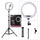 Ring Light 10 Inches + Right Light Stand 7 Ft | Best for Photography & Video